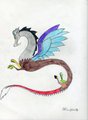 Discord
