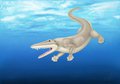 Ambulocetus