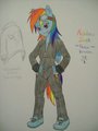 Noah's Harem - Rainbow Dash
