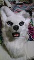 my new&nbsp;&nbsp;fox head 