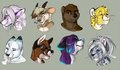 Even MOAR headshots