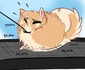 WORK OFF THE FLUFF