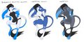 Sasha the Jerboa concepts