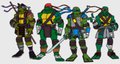 The Ninja Turtles