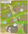 garden  by rmccool