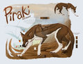 Piraki by LostWolfSpirit