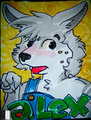 Alex Badge BLFC 2014