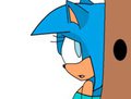 Sammy Hiding by samshanic01