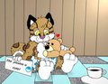 A Day in Diapers
