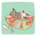 That's not a bed!