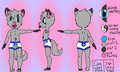 ref sheet by wolfpup549