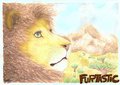 King of the savannah by Boscoe