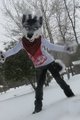 Snowing In Bama by SLUSHIE