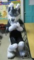 New Submission by SLUSHIE