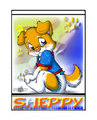 Sheppy Tag