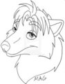 New Year New Pic by MagnumHusky