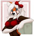 Panda Fox