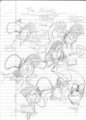 Wander sketches the picnic