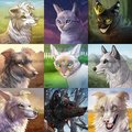 Icons: 14 by LostWolfSpirit