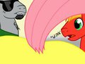 Ask Pootershy #7 by DSNinja