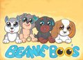 Beanie Boo's