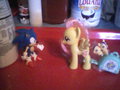 Sonic meets Fluttershy 
