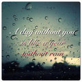 A Day Without Rain