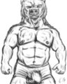 Bear Briefs