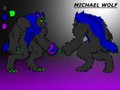 Michael Ref Sheet. by TopFox23