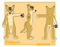 CS of Pakyzo by Pakyto