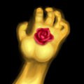 A tender rose by Silphmei