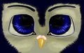 Eye Practice: Baby Penguin Style