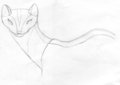 New Submission by WoLf2Tails