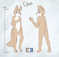 Kihua Reference