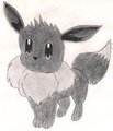Practicing EricEevee coloring