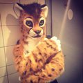 Lozi fursuit, WIP 2