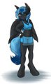 OC Commission - Midnight Light
