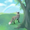 Spring fox