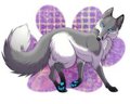 Feral Fox