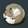 Sleep