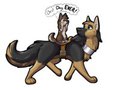 Horse Dog Alert -Gift-