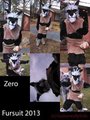 Zero Fursuit for Sale