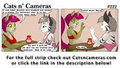 Cats n Cameras - Strip #222 - That's my job!