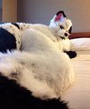 look at that healthy butt