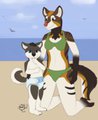 Fun at the beach