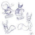 Kachi Practice