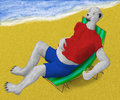 Beach Belly