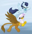 Commission - Soarin and Gilda Race