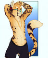 Boxers by Rika