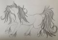 Friesian by TheWhiteSoldier